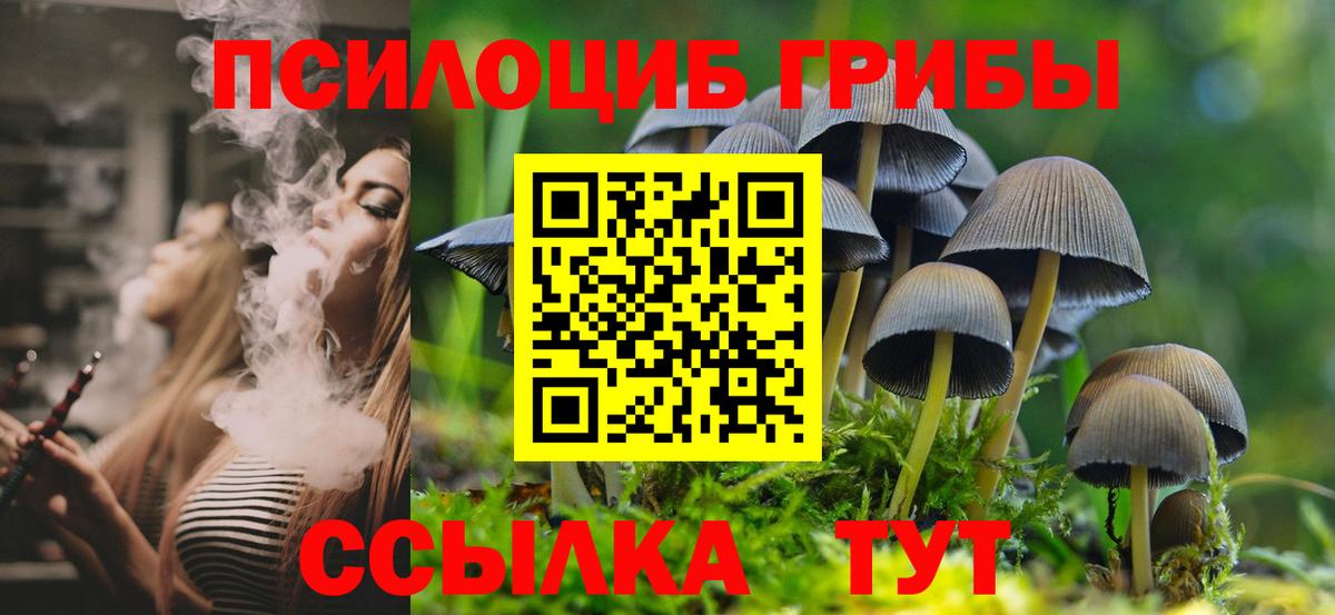 Саяногорск  Галлюциногенные грибы прущие грибы  Псилоцибиновые грибы GOLDEN TEACHER  Вход с VPN 